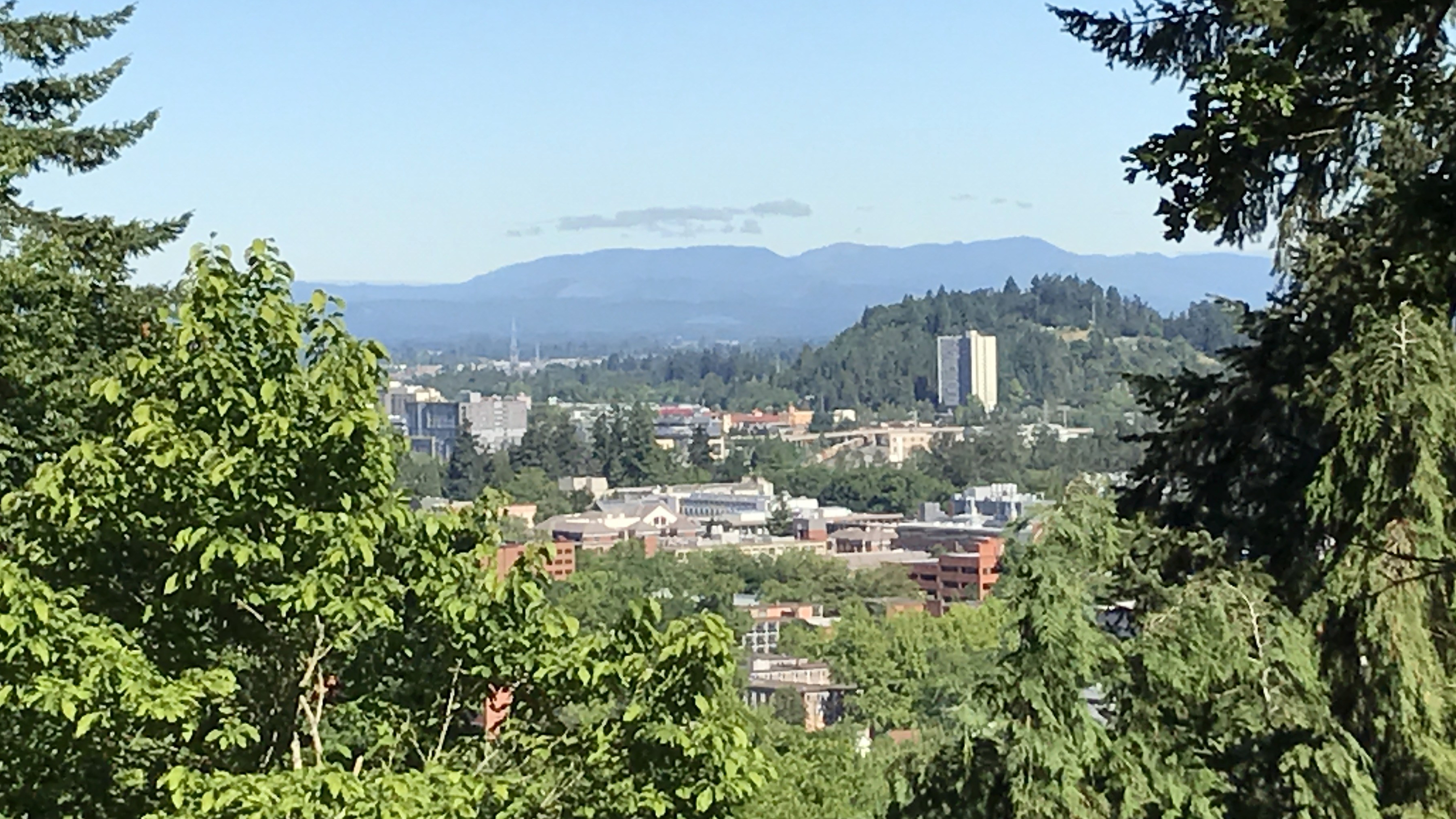 Campus from hendricks